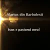 Muzica Domnului - Isus e pastorul meu (feat. Marius din Barbulesti) - Single